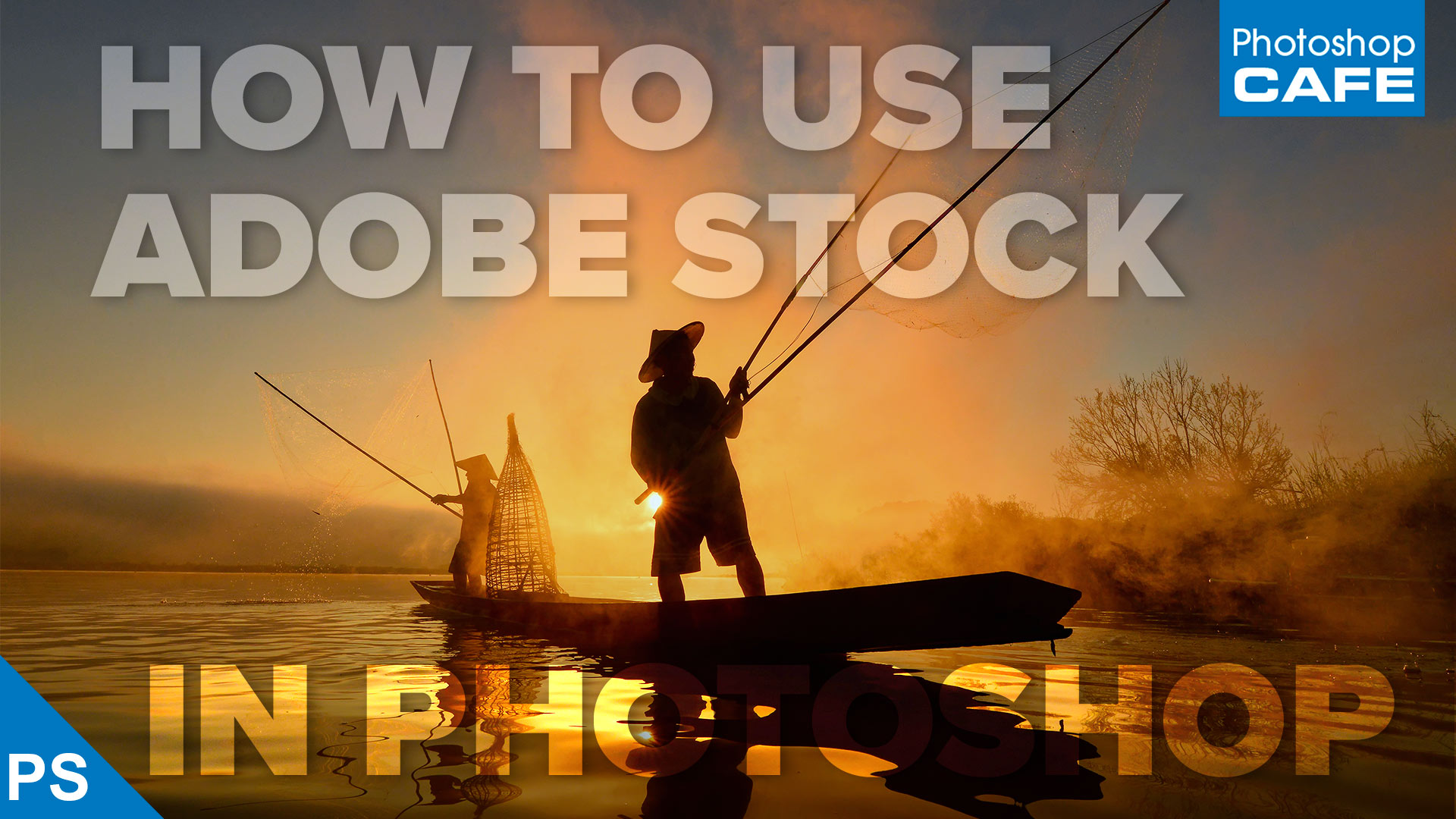 adobe stock videos