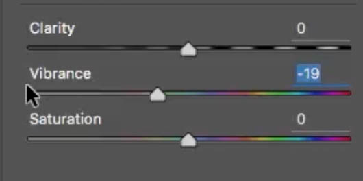 vibrance slider in Camera Raw
