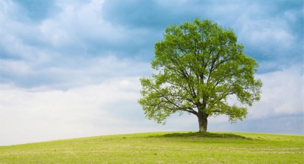 How To Cut Out Anything In Photoshop 3 Best Ways To Remove Backgrounds How To Cut Out Anything In Photoshop 3 Best Ways To Remove Backgrounds