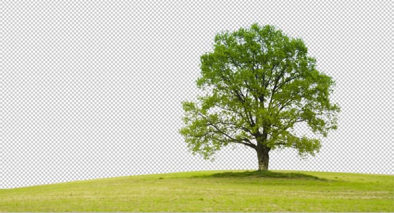 How To Cut Out Anything In Photoshop 3 Best Ways To Remove Backgrounds How To Cut Out Anything In Photoshop 3 Best Ways To Remove Backgrounds