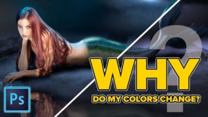 When Photoshop changes your colors, Color Spaces explained