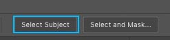 Select subject in Photoshop 