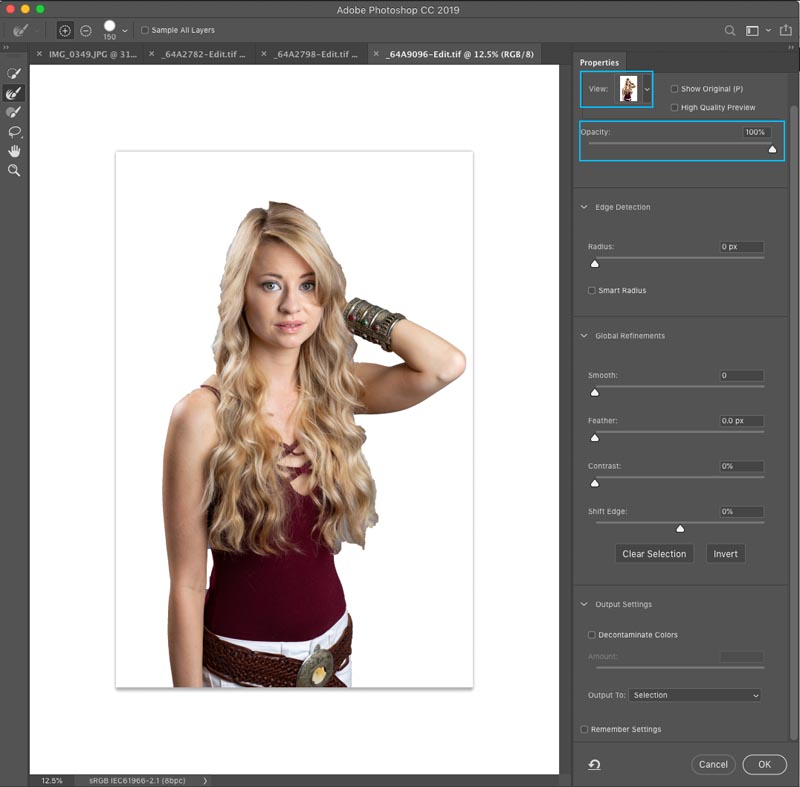 Select and Mask in Photoshop CC