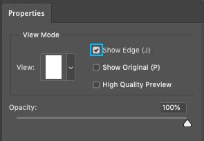 show edges in refine edge