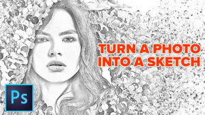 How to Turn a Photo into a Pencil Drawing in Photoshop, the new and improved Sketch effect