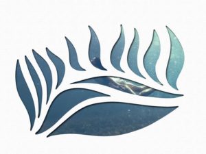 How to Fill a shape with a photo in Photoshop, 3 ways.