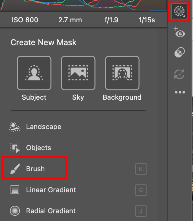 Where is the Brush Mask  in Adobe Camera RAW