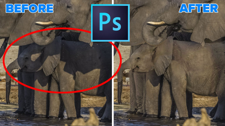 How to Remove Shadows from a Photo in Photoshop