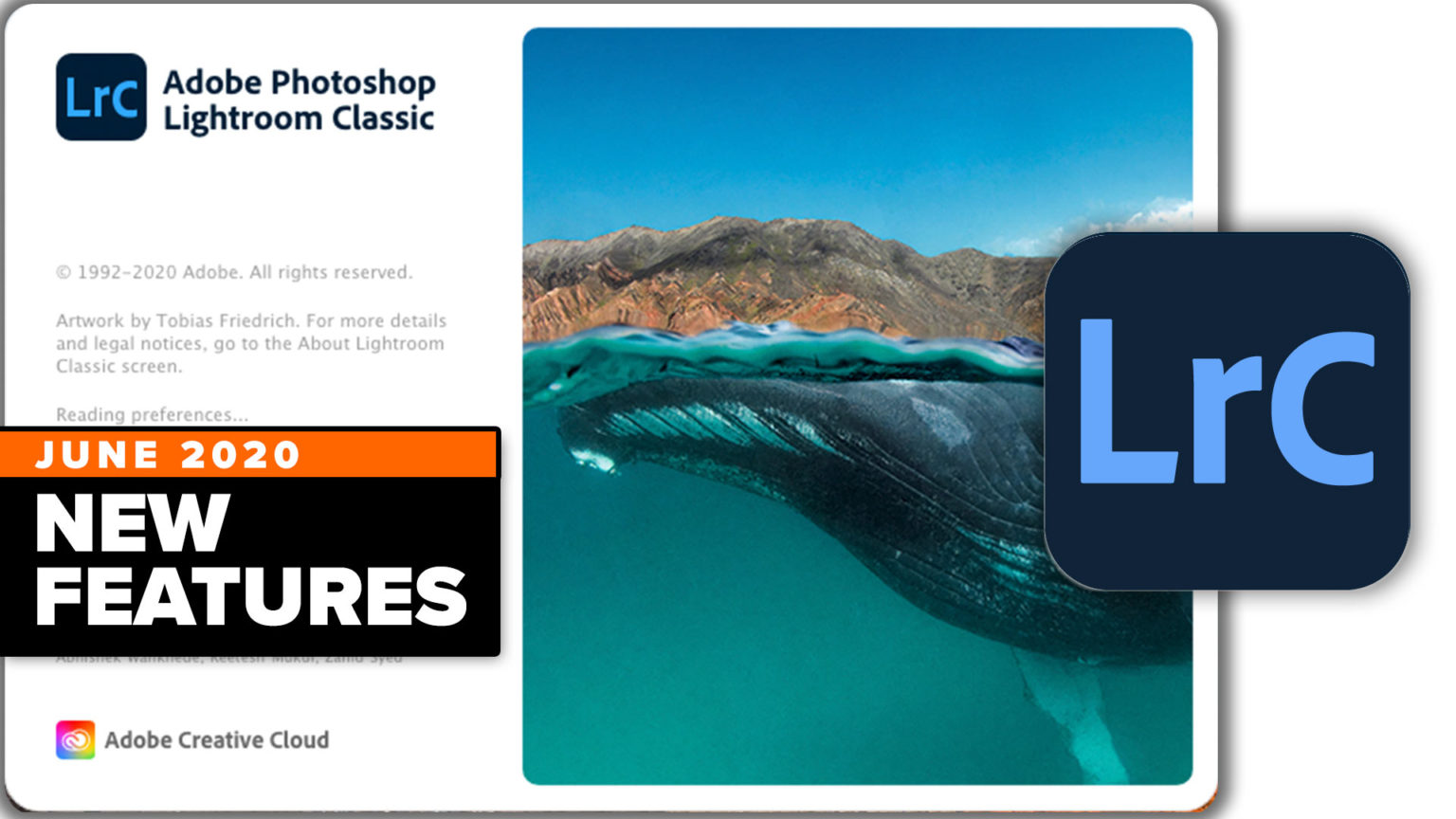Lightroom Catalog a mess? How to Organize all your photos in Lightroom