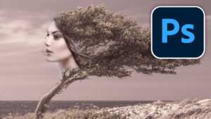 How to Make a Duotone in Photoshop, for color grading.