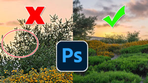 Best photo sharpening tricks in Photoshop, STOP ruining your photos.