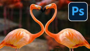Bend anything in Photoshop with Puppet Warp. Free tutorial