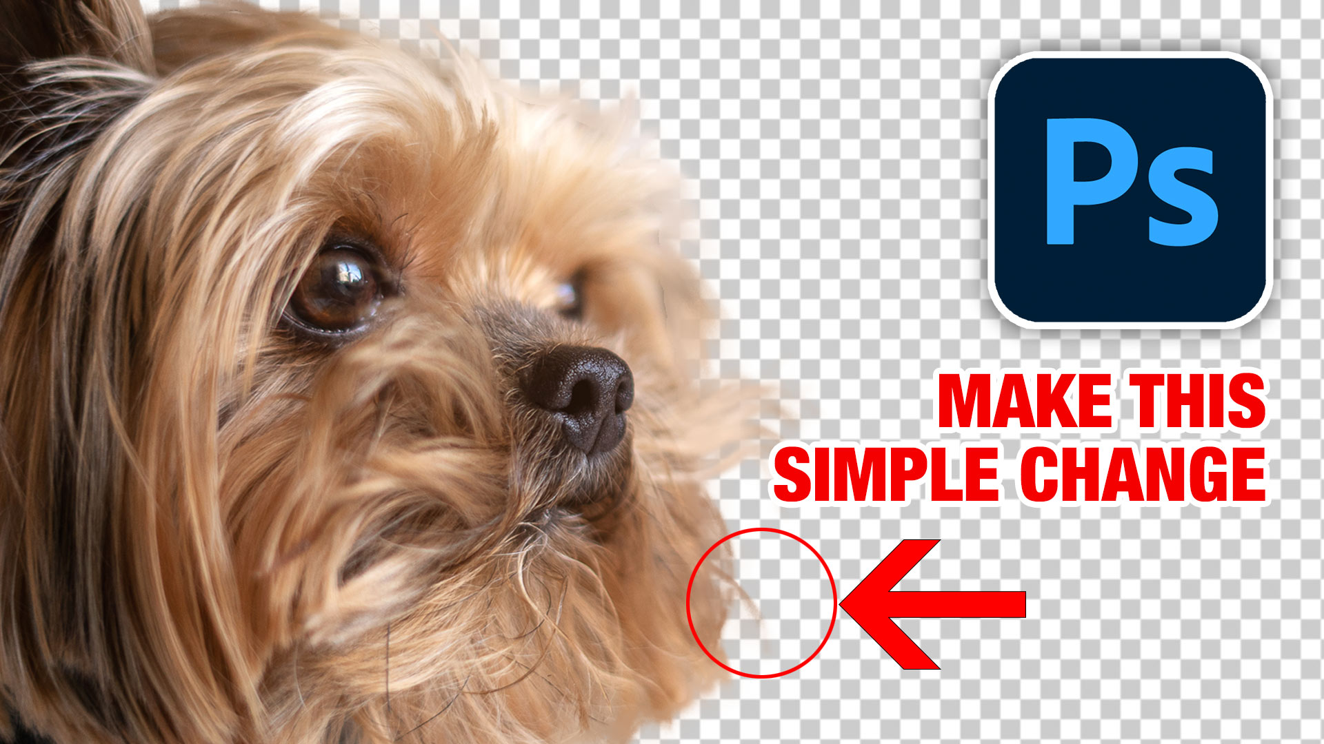 How to get better fur + hair cut outs in Photoshop by making a small change.