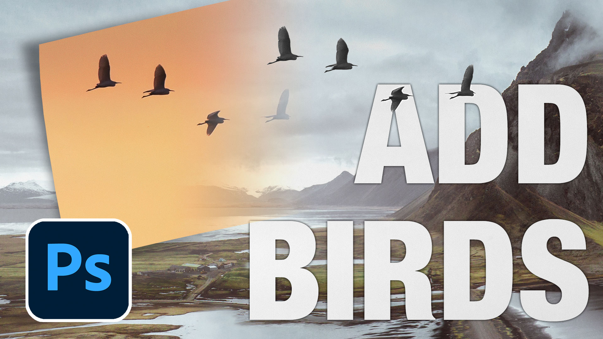 Add birds to a photo in Photoshop, make background transparent