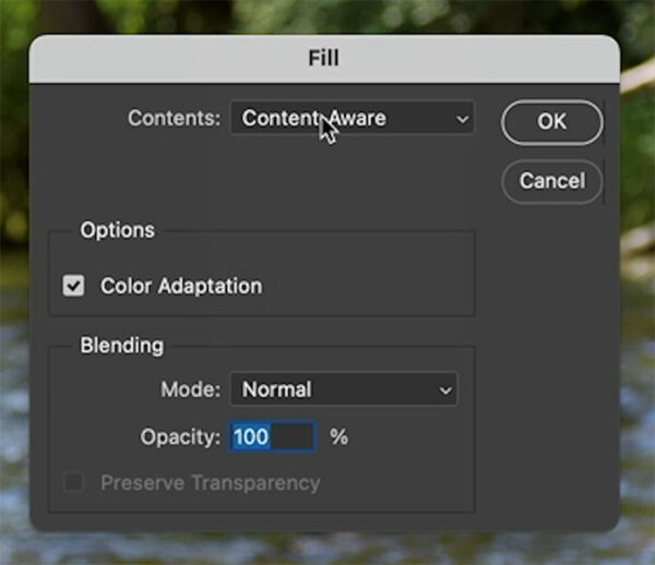 How to blur the background of a photo in the pro way