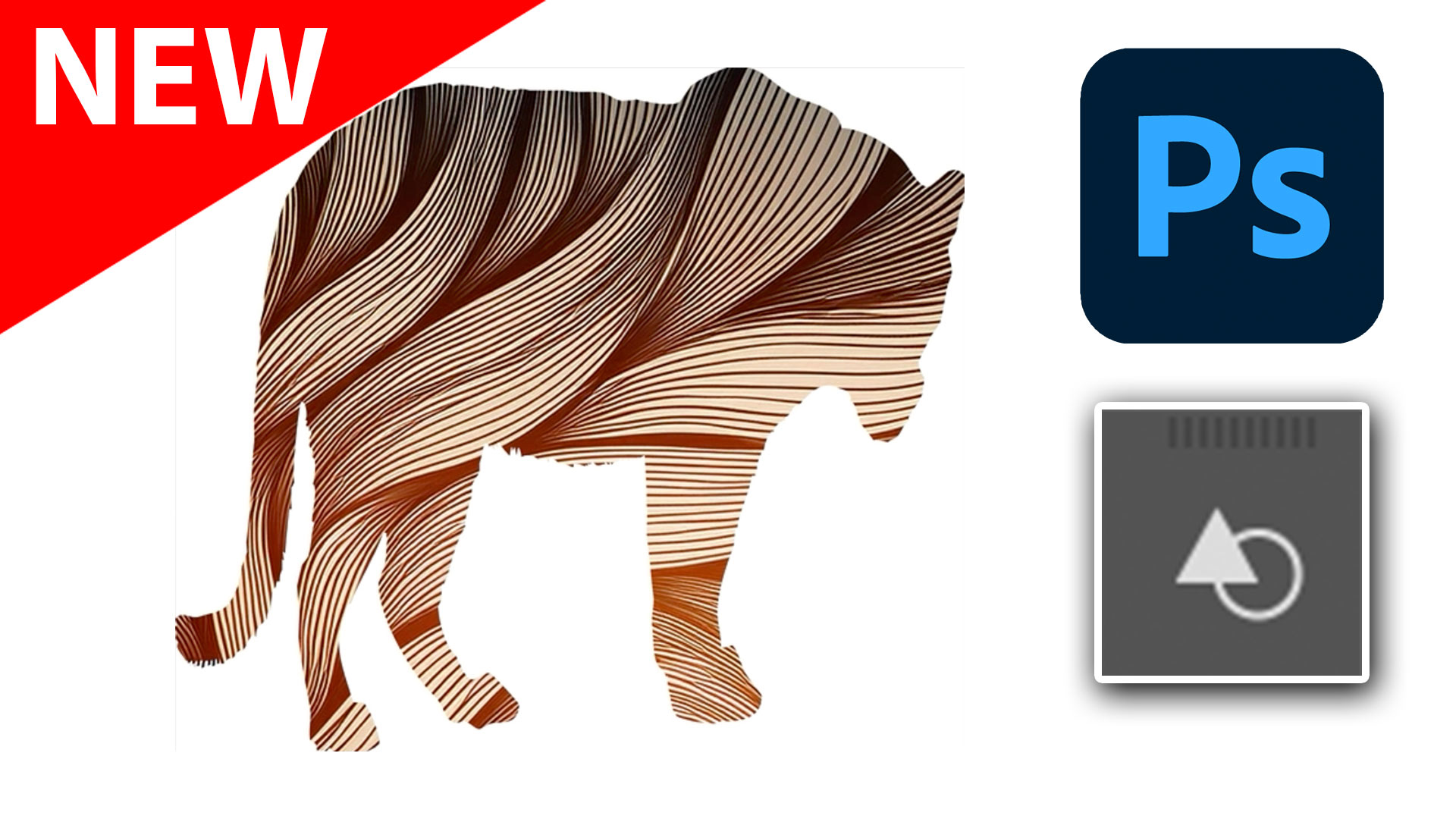 How to use Updated Frame Tool in Photoshop