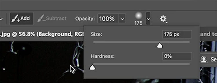 selection brush settings panel