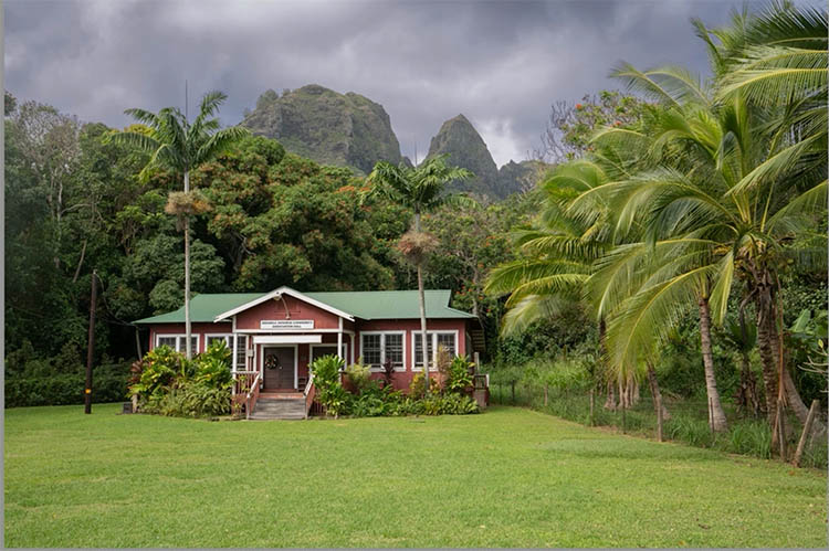 Beginning image of a house in the jungle in Hawaii