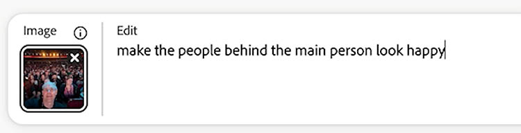 text prompt in Adobe Firefly