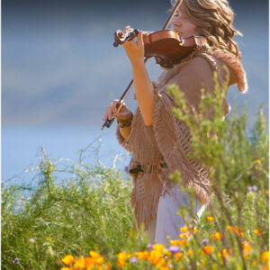 Photoshop 2026 for digital photographers a photoshop learning course by Colin Smith photoshopcafe.com