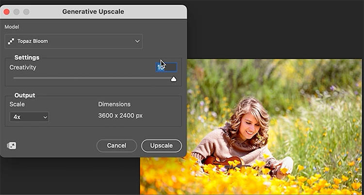 Low-resolution image before upscaling in Photoshop