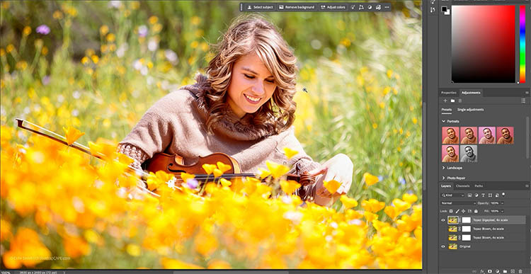 Upscaled violin detail using Topaz Gigapixel