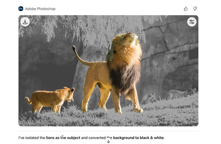 Masking error showing missed leaves around subject