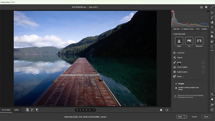 Adjustment Brush tool in Camera Raw interface