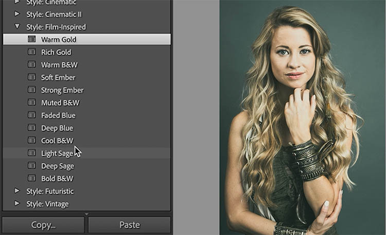 Film-inspired presets preview
