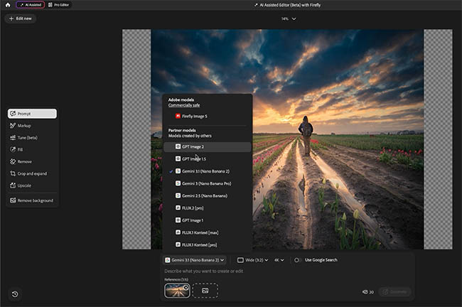 Choosing an AI model for image editing